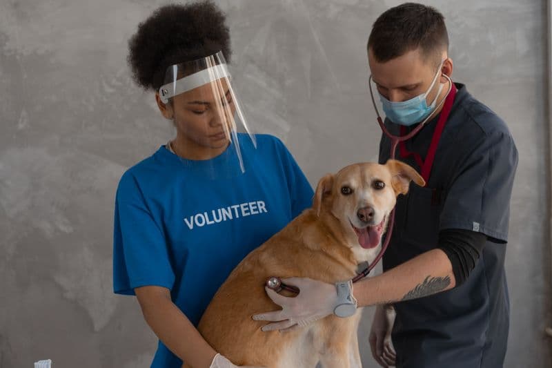 Happy Tails Veterinary Center
