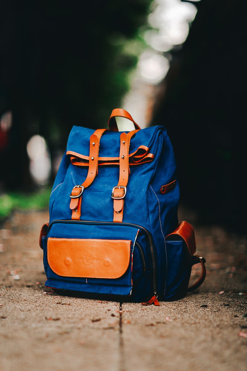 Travel backpack