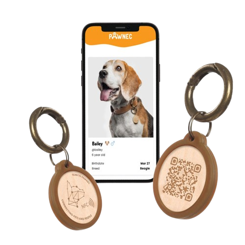 Smart Pet Tag